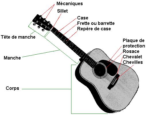 http://www.le-guitariste.com/bases/anatomie.jpg