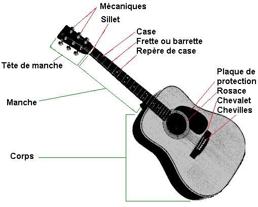 Apprendre le Nom des Cordes de Guitare